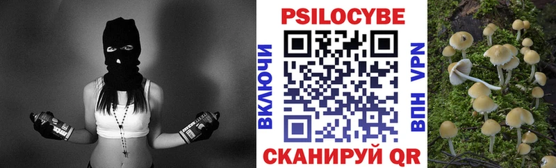 Галлюциногенные грибы Cubensis  Елизово 